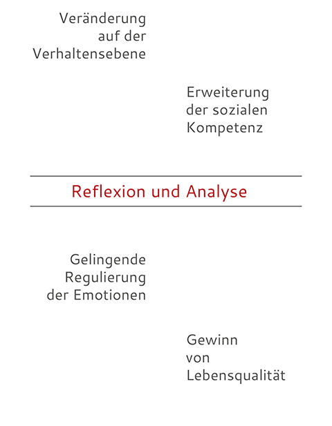 Ablauf einer Psychotherapie, Monika Bammer-Gürtler, behind success